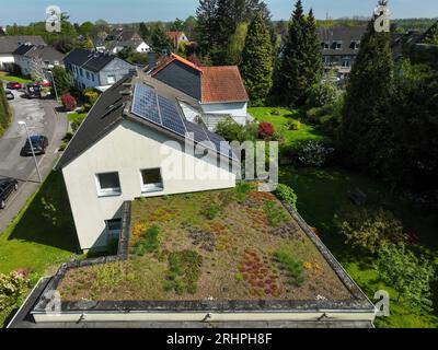 Mülheim an der Ruhr, Nordrhein-Westfalen, Deutschland - Flachdach mit Dachbegrünung. Stockfoto