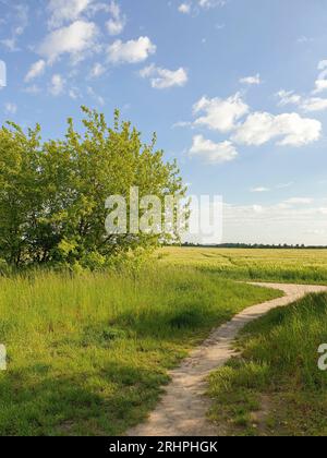 Deutschland, Berlin, alter Mauerweg im Süden Berlins mit Blick auf Teltow Fläming, grüne Landschaft, Sommer, endlose Weite, Stockfoto