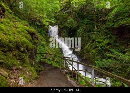 Das weiße Wasser des Nant Dôl-goch-Baches dröhnt einen der unteren Wasserfälle an den Dolgoch Falls, Nr Tywyn, Gwynedd, Wales, Vereinigtes Königreich hinunter Stockfoto