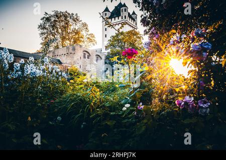 Eltville am Rhein mit dem Kurfürstlichen Schloss Eltville und der Altstadt mit Fachwerkhäusern bei Sonnenaufgang Stockfoto