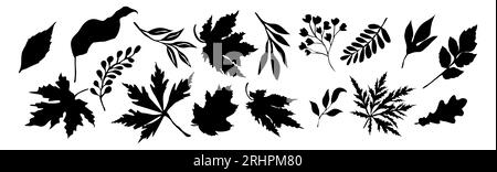 Schwarze Silhouetten aus herbstlichen Blättern und Zweigen. Herbstahorn, Eichenblätter, Zweige. Vector Schwarze Umrisszeichnungen isoliert auf weißem Hintergrund Stock Vektor