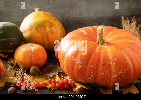 Herbsttag Thanksgiving oder Halloween Hintergrund. Weihnachtliches Herbstdekor aus Reifen Kürbissen, Beeren und Blättern auf einem hölzernen Hintergrund. Stockfoto