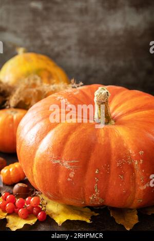 Herbsttag Thanksgiving oder Halloween Hintergrund. Weihnachtliches Herbstdekor aus Reifen Kürbissen, Beeren und Blättern auf einem hölzernen Hintergrund. Leerzeichen kopieren. Stockfoto