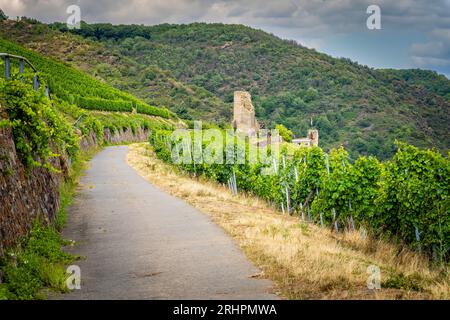 Schloss Coraidelstein in Klotten bei Cochem an der Mosel, auch Schloss Klotten genannt, eine Hügelburg mit einem romanischen Donjon Stockfoto