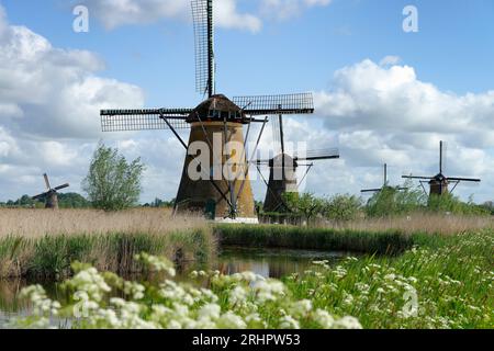 Windmühlen in Kinderdijk, Kinderdijk, Benelux, Benelux-Länder, Südholland, Zuid-Holland, Niederlande Stockfoto