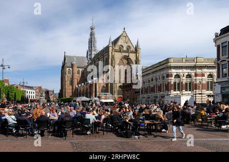 Blick auf das Great oder St. Bavo-Kirche am Grote Markt in der Altstadt von Haarlem, Haarlem, Nordholland, Noord-Holland, Benelux, Benelux-Länder, Niederlande Stockfoto