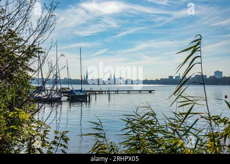 Außenalster in Hamburg mit der Skyline der Stadt im Hintergrund, Büschen und Steg im Vordergrund Stockfoto