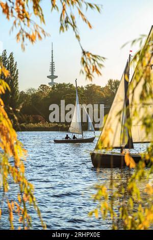 Außenalster in Hamburg mit Fernsehturm und Segelbooten durch Äste mit bunten Herbstblättern zu sehen Stockfoto