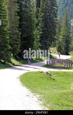 Fahrradtour mit dem Mountainbike, eBike am Igelsee im Gaistal bei Ehrwald. Österreich, Tirol Stockfoto