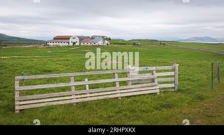 Südwest-Island im Frühsommer, Zaun, Weide, Bauernhof Stockfoto