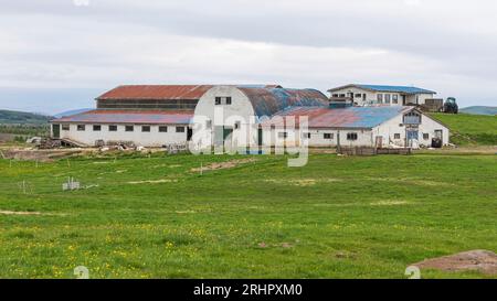 Südwest-Island im Frühsommer 2021, Farm Stockfoto