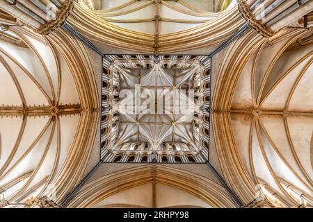 Zentrale Turmdecke, Lincoln Cathedral, Lincoln, England, Großbritannien Stockfoto