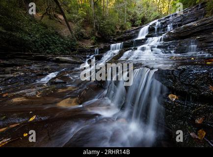 Verstreute Blätter schmücken die dünnen Gesteinsschichten an den Minnehaha Falls. Stockfoto