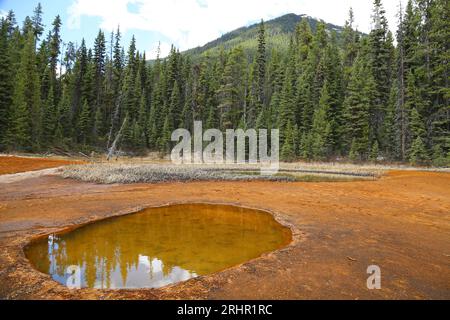 Landscape with Paint Pots, Canada Stock Photo