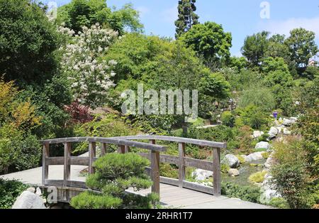 Wooden bridge in Japanese Garden, San Diego Stock Photo