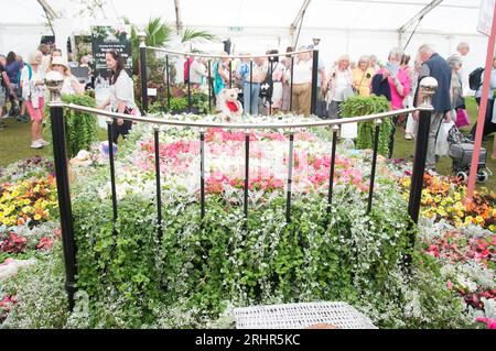 Southport Flower Show war vollgepackt mit bunten Blumen- und Pflanzendarstellungen, die am Eröffnungstag von 1000 Besuchern besucht wurden. (Terry Scott/SPP) Credit: SPP Sport Press Photo. Alamy Live News Stockfoto