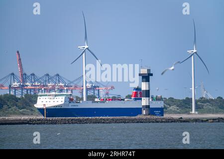 RoRo Fährboot Jutlandia Sea, Blick vom Hoek van Holland zum Hafeneingang zum Maasvlakt, Rotterdam und dem Nieuwe Waterweg, Maas, Nether Stockfoto