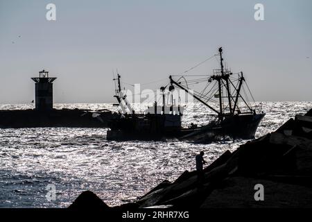 Fischerboot TH10 DIRKJE, vor der Küste von Scheveningen, den Haag, mit ausgebreiteten Netzen, Hafenausgangsbake, Niederlande Stockfoto