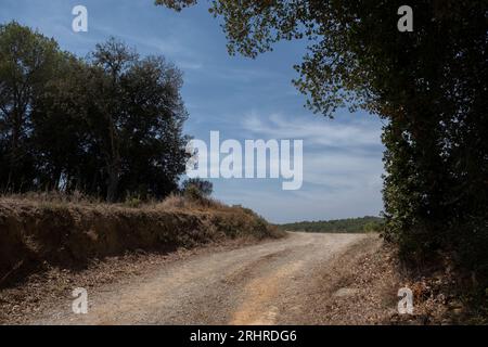 Girona, Spanien. August 2023. Die Forststraße, die Colomers mit Vilopriu verbindet, ist mit Anzeichen von Dürre bei Temperaturen von etwa 30 Grad Celsius zu sehen. Katalonien lebt in einer großen Dürre und unter den ersten notstandszuständen aufgrund von Wassermangel. In 22 Gemeinden wird in den Beschränkungen ein maximaler Wasserverbrauch von 200 Litern pro Person und Tag festgelegt. (Foto: Paco Freire/SOPA Images/SIPA USA) Credit: SIPA USA/Alamy Live News Stockfoto