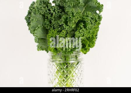 Hellgrüne Grünkohlblätter in dekorativen Glasgefäßen Stockfoto