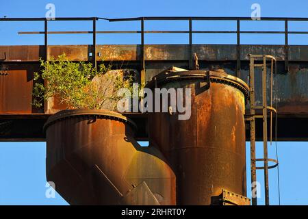 Birkenbau auf dem stillgelegten Industriestandort Phoenix-West, Deutschland, Nordrhein-Westfalen, Ruhrgebiet, Dortmund Stockfoto