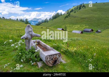 Hölzerne Trinkrinne auf der Postalm, Österreich, Salzkammergut, Strobl Stockfoto