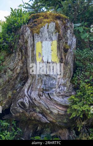 Farbige Markierung für Wanderweg R3 auf einem Baumstumpf auf der Postalm, Österreich, Salzkammergut, Strobl Stockfoto