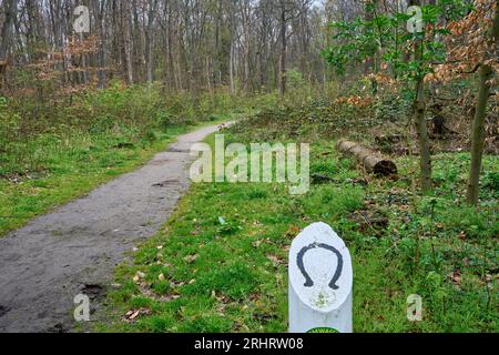 Holzpfahl mit Hufeisen markiert einen Zämmerweg im Wald, Deutschland, Hessen Stockfoto