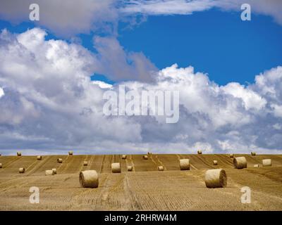 Strohballen auf einem Stoppelfeld, Deutschland, Niedersachsen, Harz Stockfoto