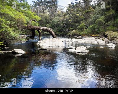 Frankland River, Bibbulmun Track, Walpole-Nornalup National Park, Western Australia, Australien Stockfoto