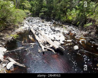 Frankland River, Bibbulmun Track, Walpole-Nornalup National Park, Western Australia, Australien Stockfoto