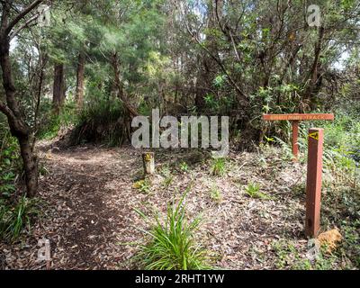 Bibbulmun Track mit Waugal-Markierung in der Nähe des Giant Tingle Tree, Walpole-Nornalup National Park, Western Australia, Australien Stockfoto