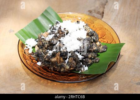 Gathot oder Gatot, traditionelle indonesische Küche aus sonnengetrockneter fermentierter Maniok, mit geriebener Kokosnuss überzogen. Gedampft und gegessen für Rice Subtitute Stockfoto