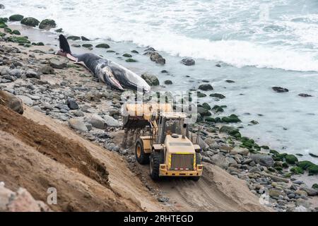 Die Küste Perus mit den Buchten der Wale. Punta Hermosa Strand. Lima Stockfoto
