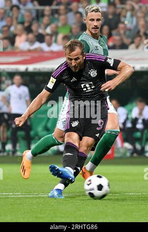 Bremen. August 2023. Harry Kane vom FC Bayern München punktet beim 1. Spiel der bundesliga in der 1. Runde zwischen dem SV Werder Bremen und dem FC Bayern München in Bremen am 18. August 2023. Quelle: Ulrich Hufnagel/Xinhua/Alamy Live News Stockfoto