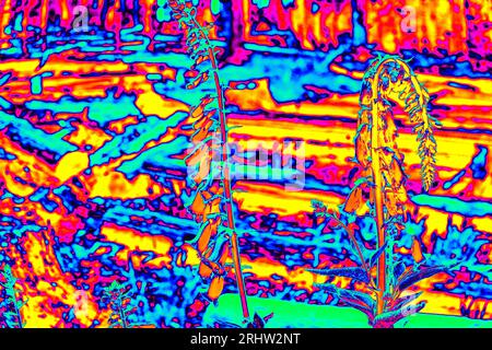 Fantastisches Thermografie-Foto der hügeligen Landschaft. Stockfoto