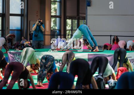 Nach unten gerichtete Hundestellung oder nach unten gerichtete Hundestellung, auch Adho Mukha Svanasana genannt, Lehrer und Yoga-Klasse, Freikörpergymnastik im Fitnessstudio. Stockfoto