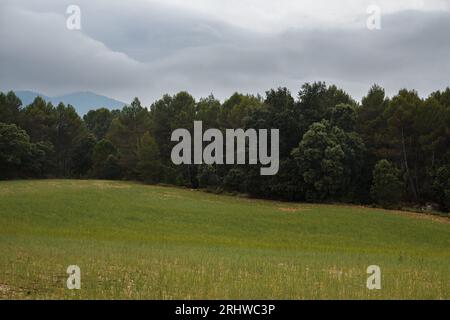 Mountain agricultural field landscape in stormy day, Alcoy, Spain Stock Photo