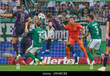 Bremen, Deutschland. August 2023. Harry Kane, FCB 9 Jiri PAVLENKA, BRE 1 im Spiel SV WERDER BREMEN - FC BAYERN MÜNCHEN 0-4 am 18. August 2023 in Bremen. Saison 2023/2024, 1.Bundesliga, FCB, München, Spieltag 1, 1.Spieltag © Peter Schatz / Alamy Live News - DFL-VORSCHRIFTEN VERBIETEN DIE VERWENDUNG VON FOTOS als BILDSEQUENZEN und/oder QUASI-VIDEO - Credit: Peter Schatz/Alamy Live News Stockfoto