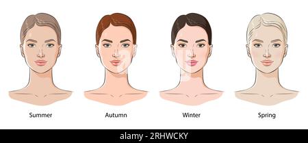 Farbtypen des weiblichen Erscheinungsbildes, Vektorillustration. Stock Vektor