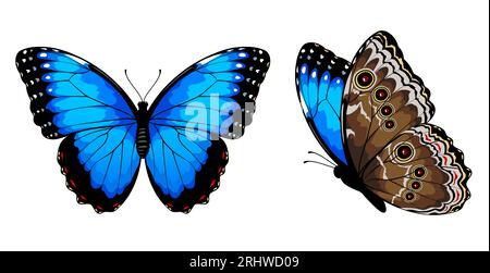 Blauer Morpho-Schmetterling. Vektorillustration isoliert auf weißem Hintergrund. Stock Vektor