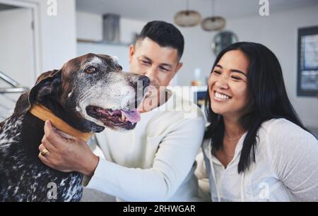 Glücklich, spielend und ein Paar mit einem Hund in einem Haus für Liebe, Pflege und Bindung mit einem Haustier. Lächeln, Wohnung und ein junger, verspielter Mann und eine Frau mit einem Stockfoto