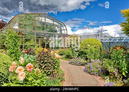 Inverness Botanic Gardens Pflanzen und Blumen außerhalb der Gewächshäuser im Sommer Stockfoto