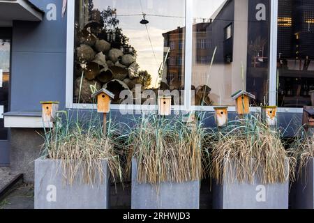 Litauen, Vilnius, 13 06 2023. Vogelhäuser als Design in der Nähe eines Geschäfts in Vilnius. Stockfoto