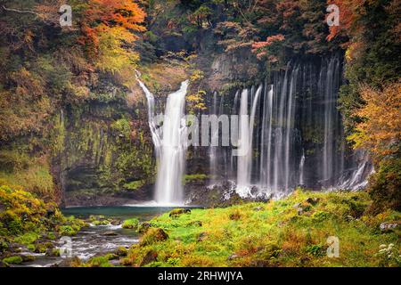 Shiraito Falls im Herbst, umgeben von Herbstlaub, Fujinomiya, Präfektur Shizuoka, Japan Stockfoto