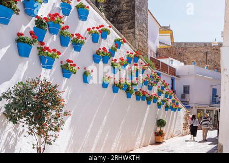 Marbella, Costa del Sol, Provinz Malaga, Andalusien, Südspanien. Geranienreihe in blauen Blumentöpfen in der Calle Carmen. Stockfoto