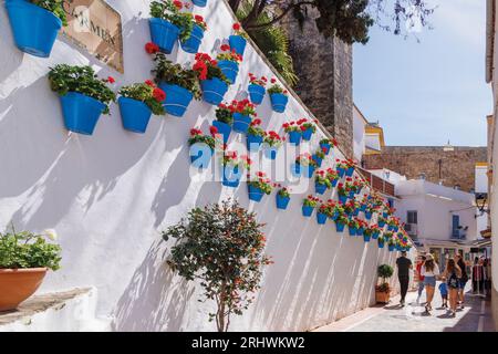 Marbella, Costa del Sol, Provinz Malaga, Andalusien, Südspanien. Geranienreihe in blauen Blumentöpfen in der Calle Carmen. Stockfoto