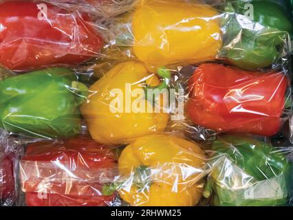 Rote, gelbe und grüne Cellophan-umwickelte Paprika. Capsicum annuum. Stockfoto