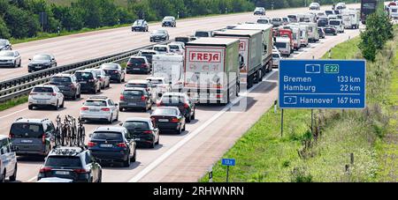 Braak, Deutschland. August 2023. Der Rückkehrverkehr wird auf der Autobahn A1 in Richtung Süden über die Landesgrenze zu Schleswig-Holstein aufgrund einer Baustelle auf Hamburgisch zurückgehalten. Quelle: Markus Scholz/dpa/Alamy Live News Stockfoto