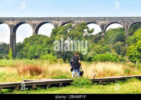 Barry, Wales - 17. August 2023: Menschen, die ihre Hunde auf einer hölzernen Promenade im Porthkerry Country Psrk in Südwales laufen lassen Stockfoto